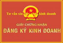 Dich vu làm giay phep kinh doanh tai Quang Nam Da Nang